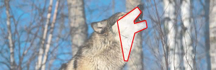 lobo letra f